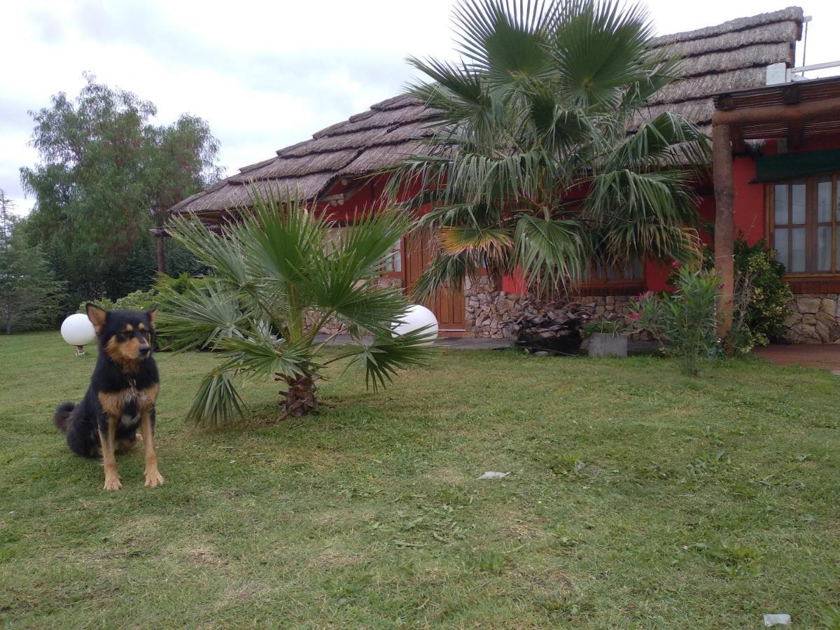 Lounge Lodge San Rafael (Mendoza)