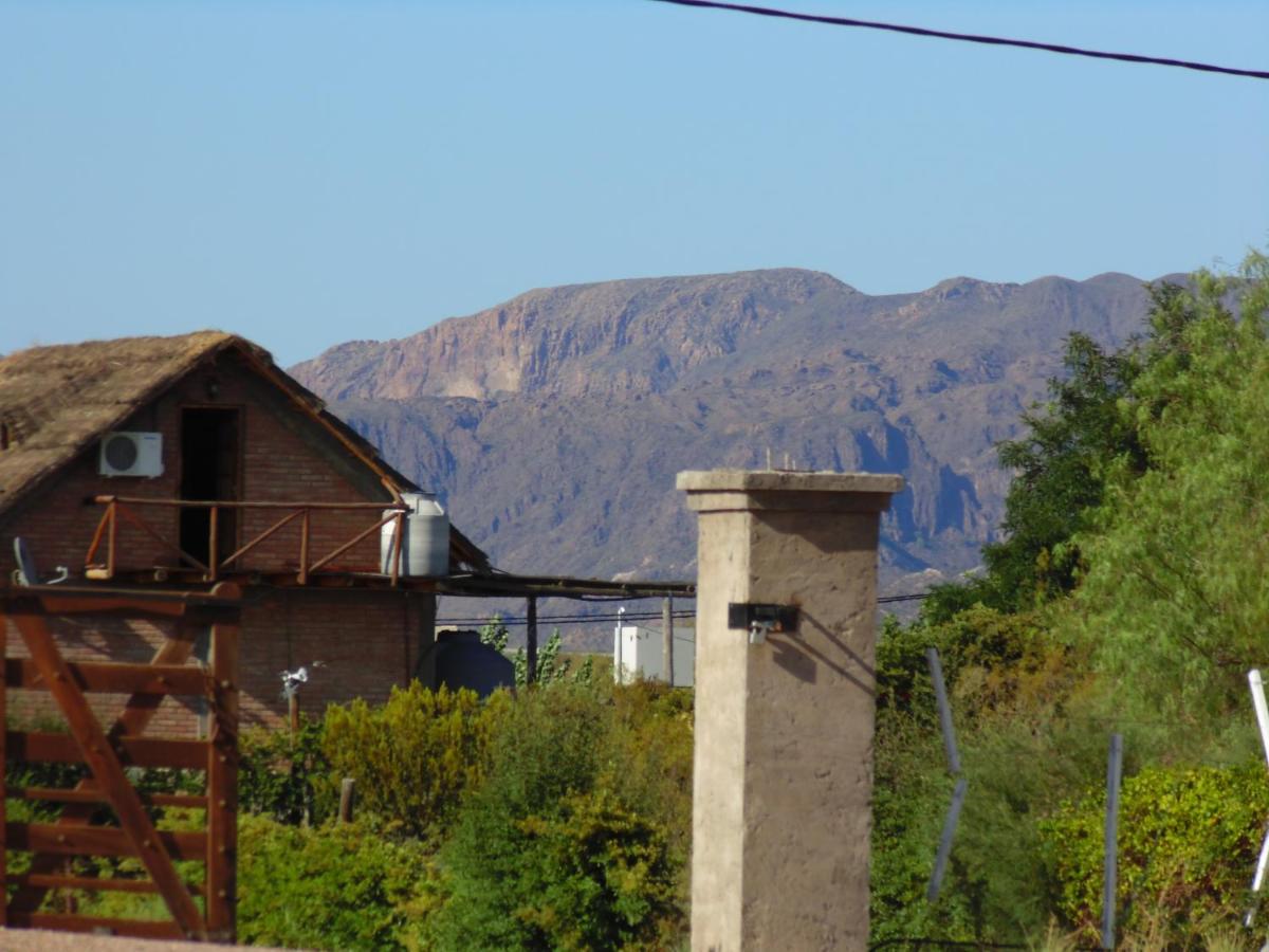 Lounge San Rafael (Mendoza)