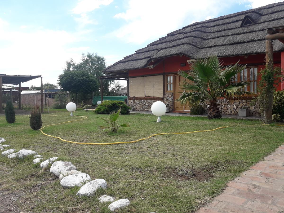 Lounge Lodge San Rafael (Mendoza)